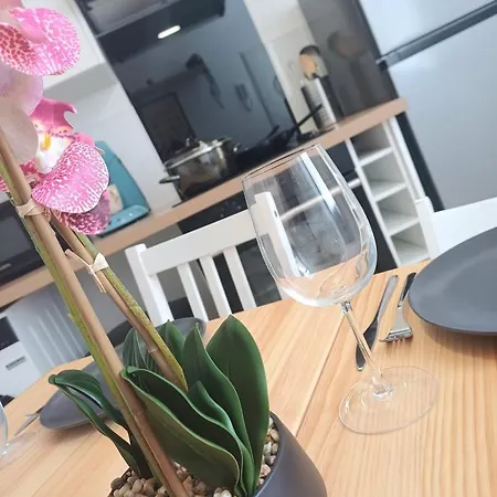 Apartment Le Clos Carnot 3 - Proche Commodites